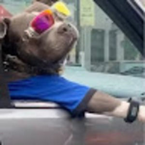 Meet your Posher, Jeffrey